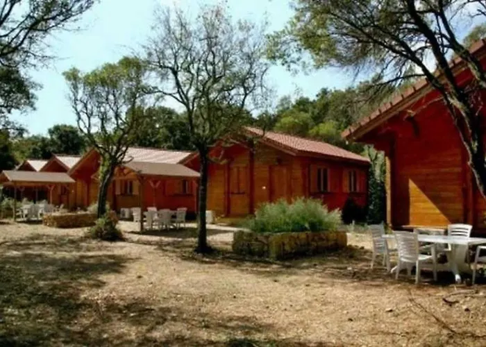 Camping - Piscine - Ef0aae Porto-Vecchio (Corsica)