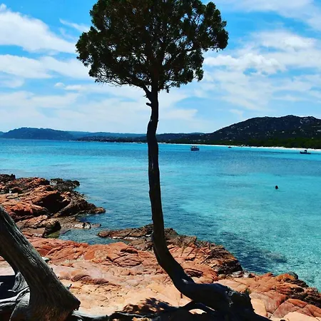 Campsite - Piscine - Ef0aae Porto-Vecchio (Corsica)