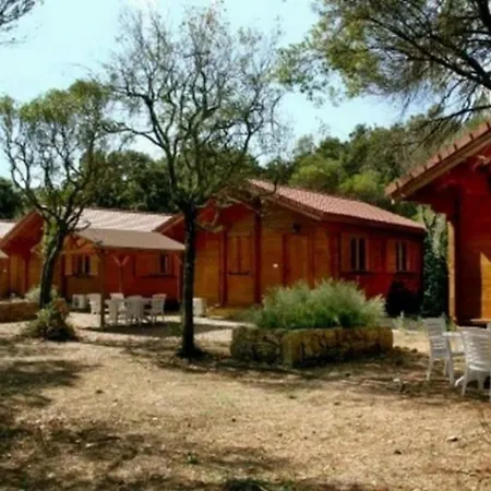 Campsite - Piscine - Ef0aae Porto-Vecchio (Corsica)