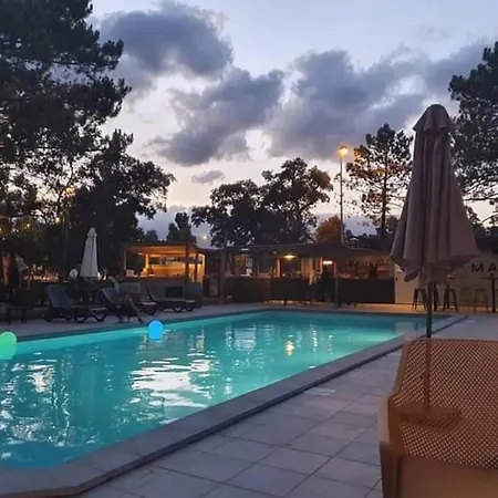 Zecamping 3 Etoiles Animaux Acceptes Piscine Et Aire De Jeux Chalé *