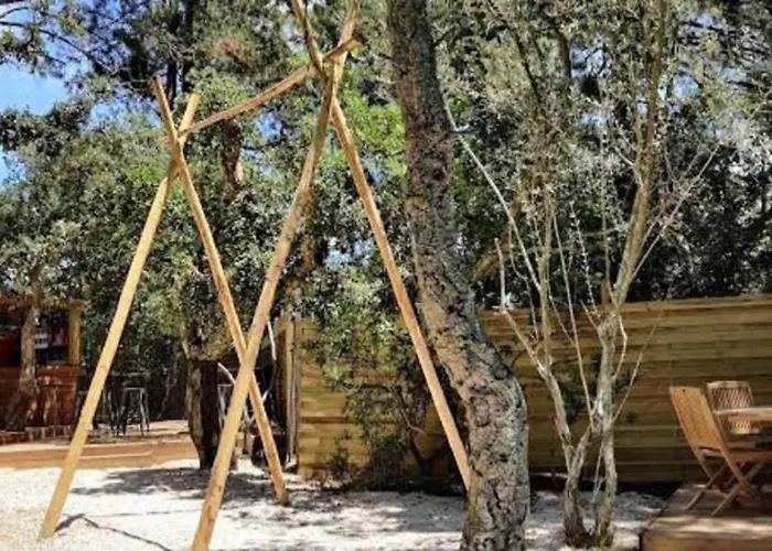 Zecamping 3 Etoiles Animaux Acceptes Piscine Et Aire De Jeux Campsite