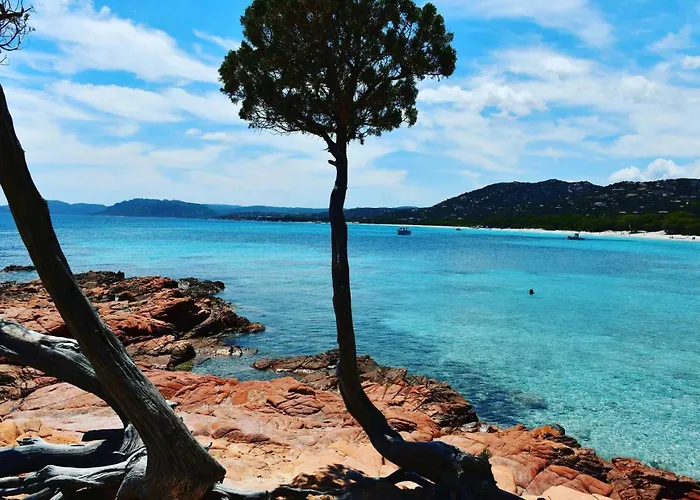 Campsite Zecamping 3 Etoiles Animaux Acceptes Piscine Et Aire De Jeux Porto-Vecchio (Corsica)