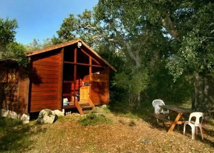 Zecamping 3 Etoiles Animaux Acceptes Piscine Et Aire De Jeux