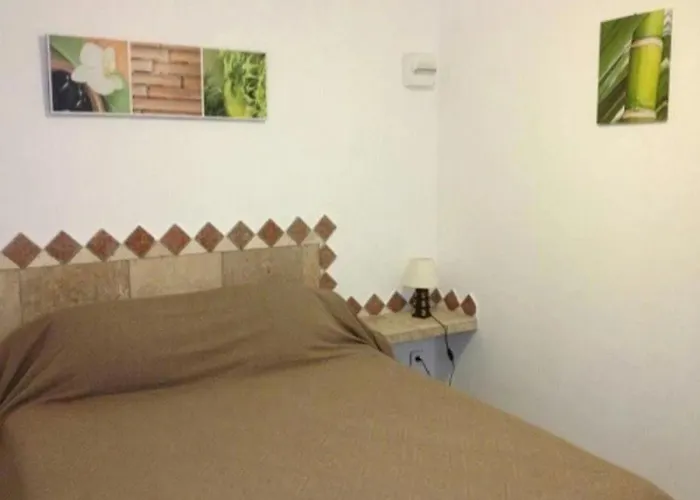 Zecamping 3 Etoiles Animaux Acceptes Piscine Et Aire De Jeux Camping *