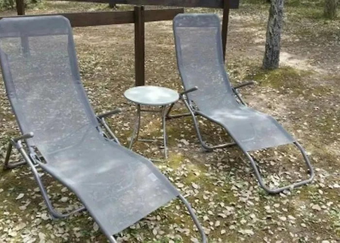 Camping Zecamping 3 Etoiles Animaux Acceptes Piscine Et Aire De Jeux Porto-Vecchio (Corsica)