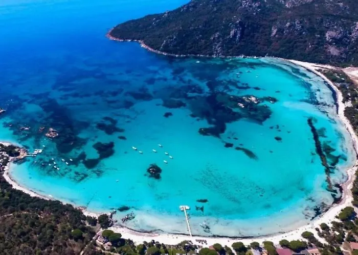 Zecamping 3 Etoiles Animaux Acceptes Piscine Et Aire De Jeux Camping Porto-Vecchio (Corsica)
