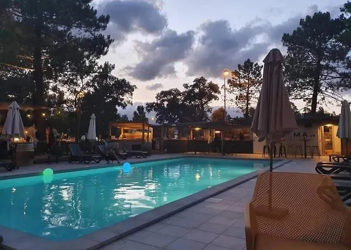 Zecamping 3 Etoiles Animaux Acceptes Piscine Et Aire De Jeux Camping *